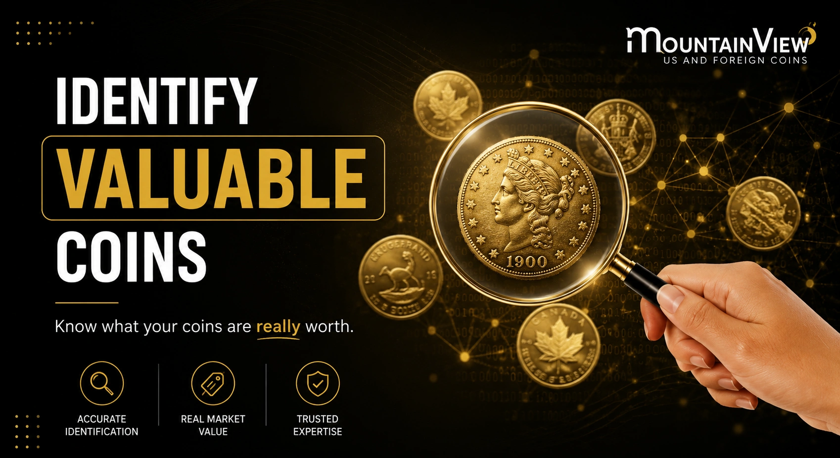 Valuable coins and expert identification